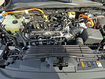 2023 Ford Escape ST-Line Elite