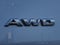 2019 Cadillac XT4 AWD Luxury