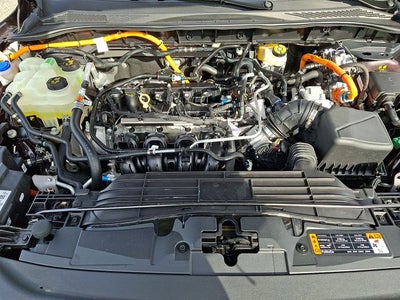 2023 Ford Escape Hybrid ST-Line Elite