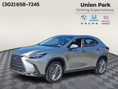 2022 Lexus NX 350 Luxury