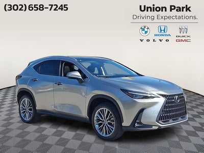2022 Lexus NX 350 Luxury