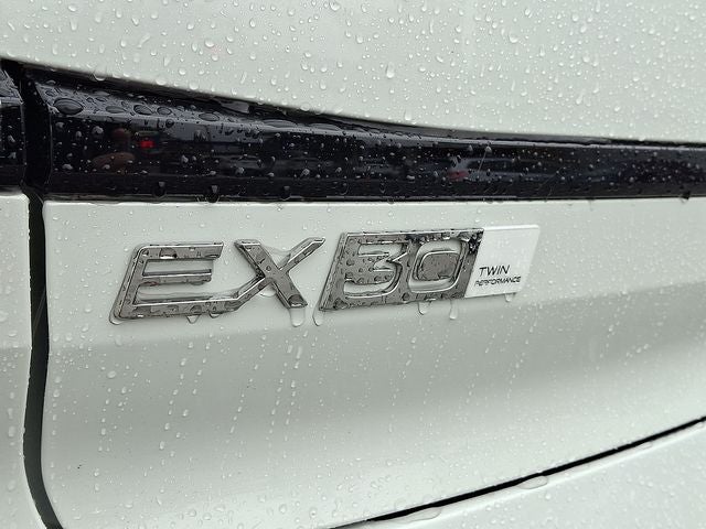 2026 Volvo EX30 Twin Motor Performance Ultra